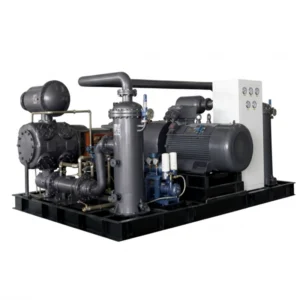 DW Series Gas Compressor