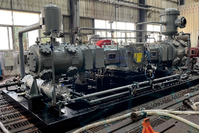 DW series refrigerant compressor installed at cold storage or industrial refrigeration plant showing opposed-balance machine in NH3 ammonia service Russia